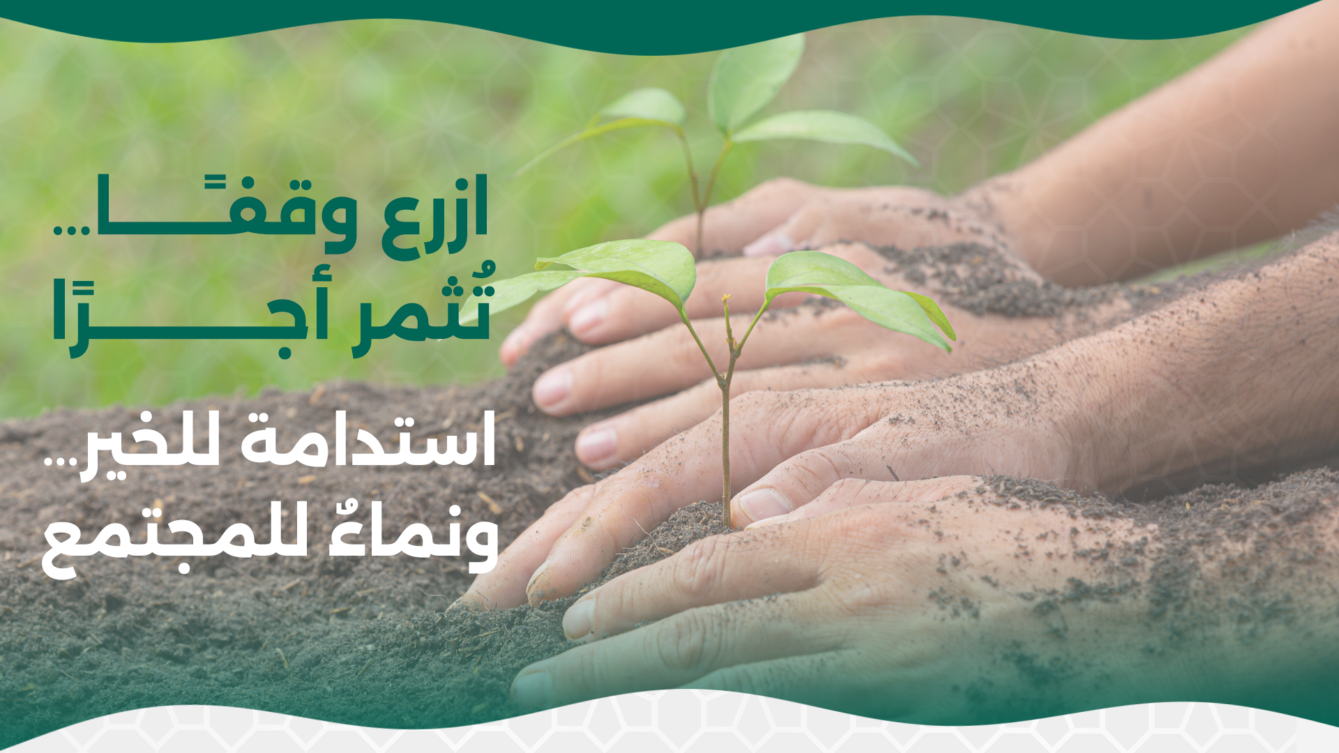 النسخة التجريبية للجمعيات الوقفية